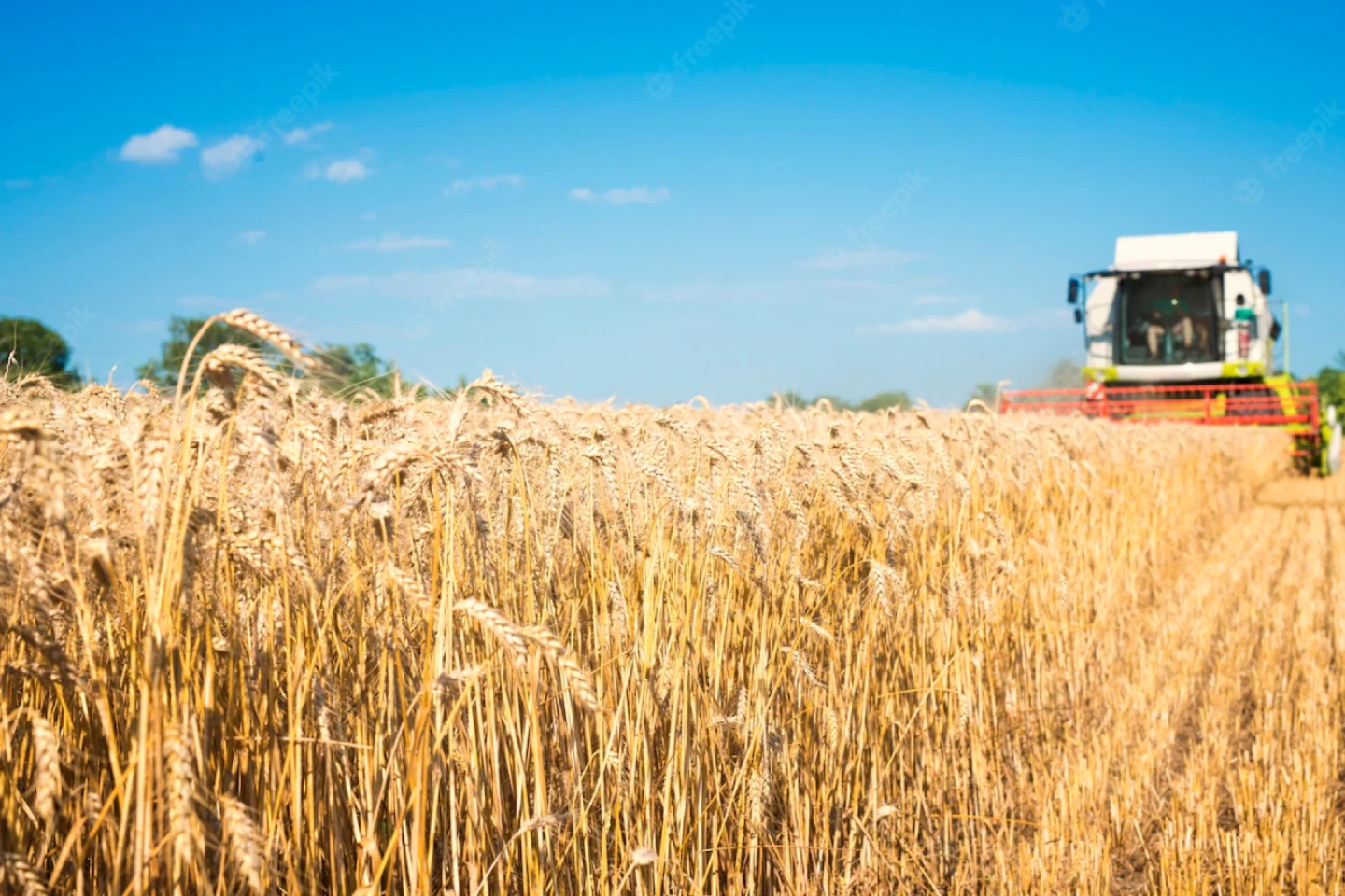 Este sau nu situaţia din agricultura Republicii Moldova catastrofală?