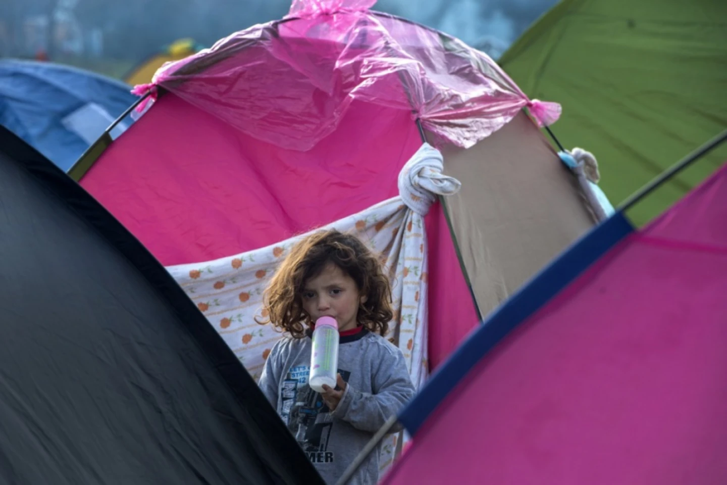 FALS: Republica Moldova ar urma să găzduiască migranți