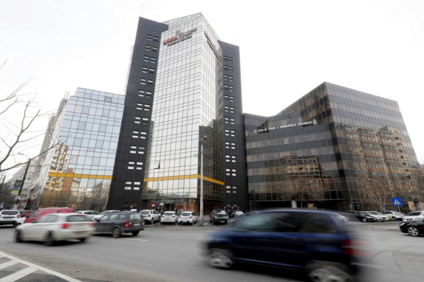 Companiile moldovenești în România: 16.602 firme, profit de 1,64 miliarde lei