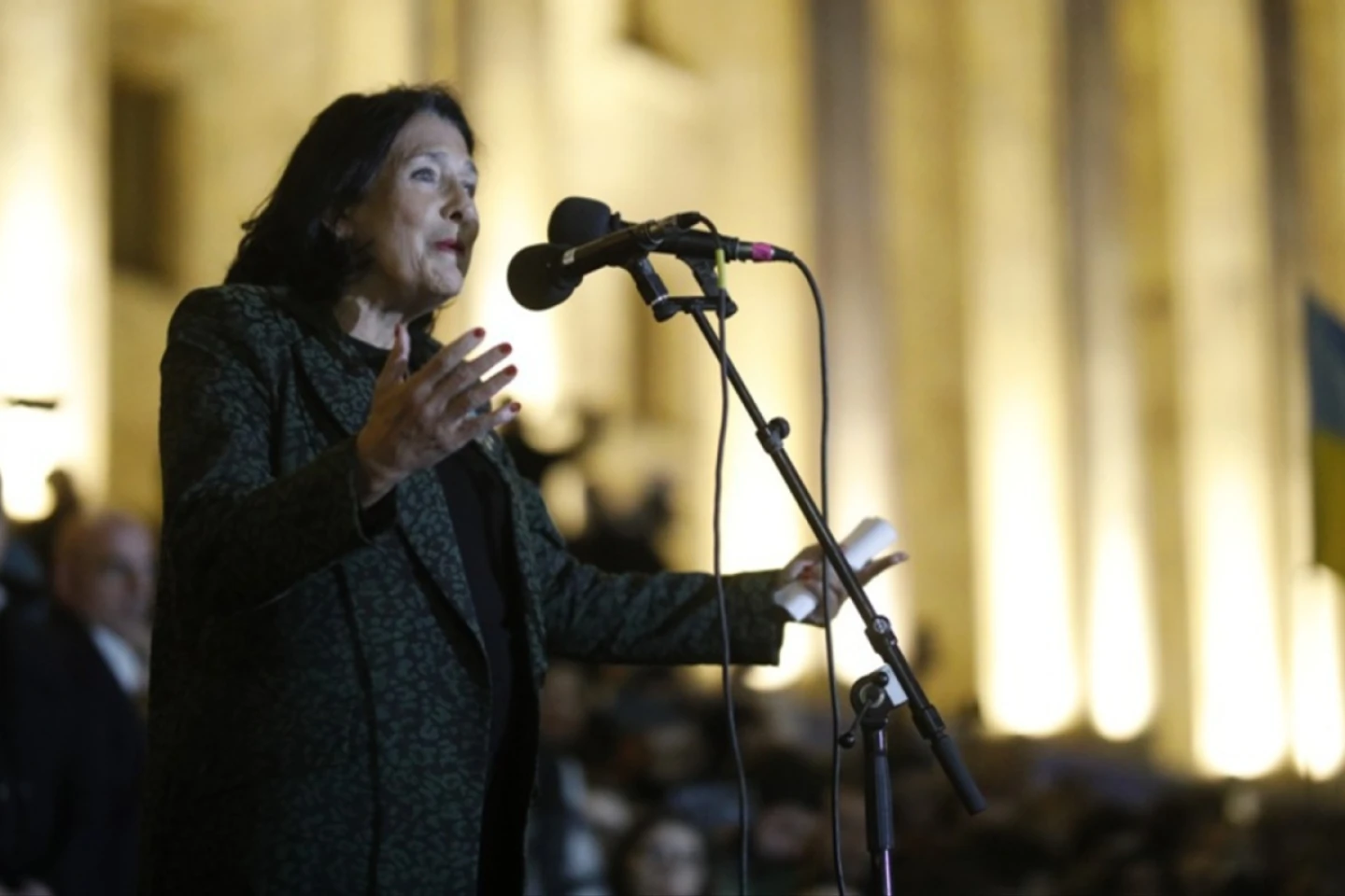 Preşedinta Georgiei cere repetarea alegerilor parlamentare