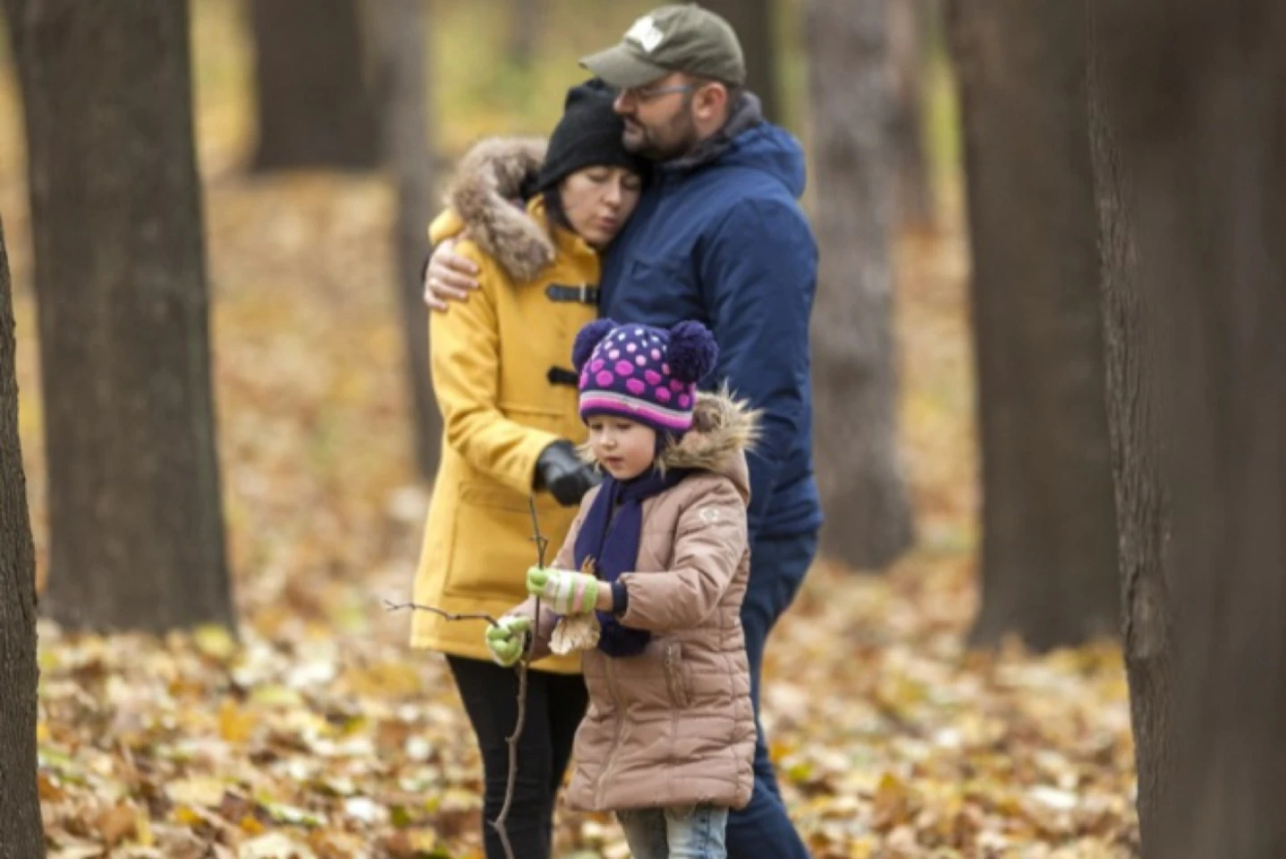 26 de milioane de puieți vor fi plantați în această toamnă