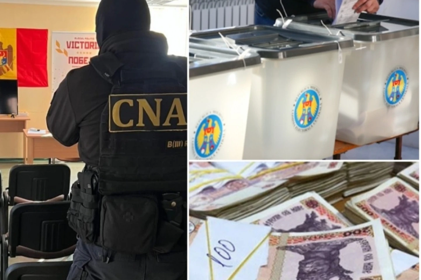 Lilian Carp: Cel puțin 140 de mii de persoane au fost implicate în procesul de fraudare a alegerilor, dar numărul ar putea fi mai mare