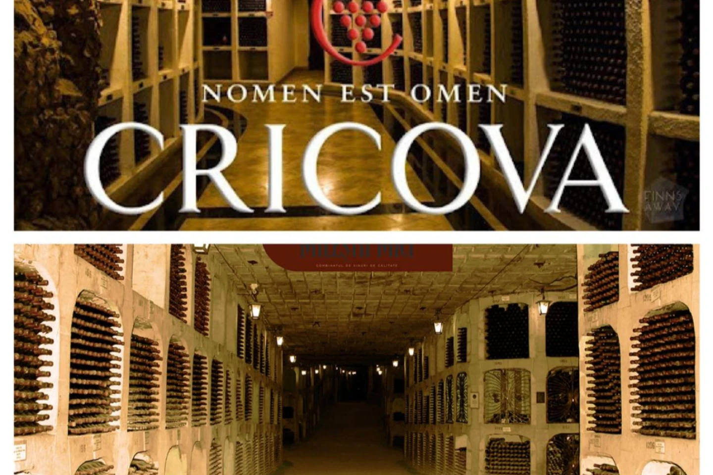 Cricova și Mileștii Mici, incluse în lista indicativă a Patrimoniului Mondial UNESCO