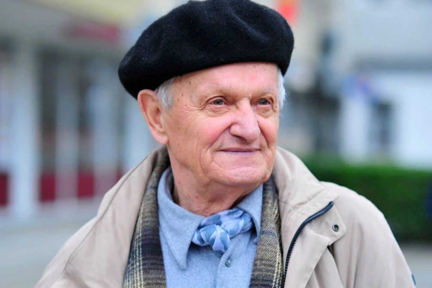 Vladimir Beșleagă, țipătul lăstunului