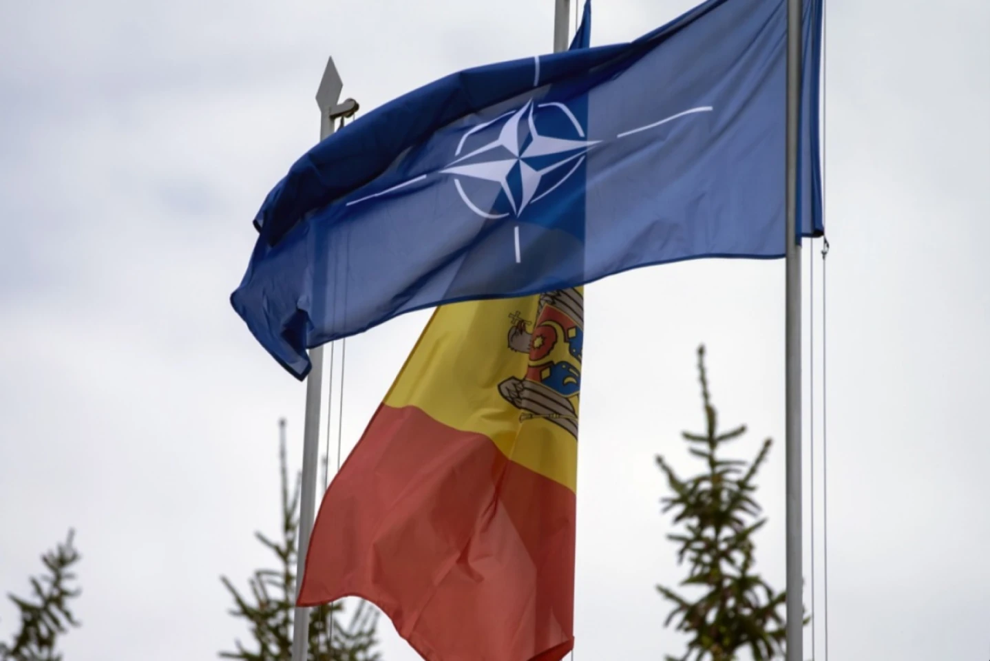 O delegație AP NATO, în vizită de documentare în Republica Moldova