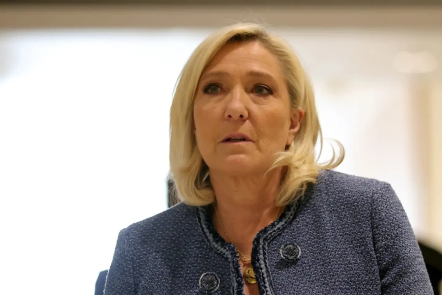 Marine Le Pen, condamnată la doi ani de detenție cu executare / UPDATE