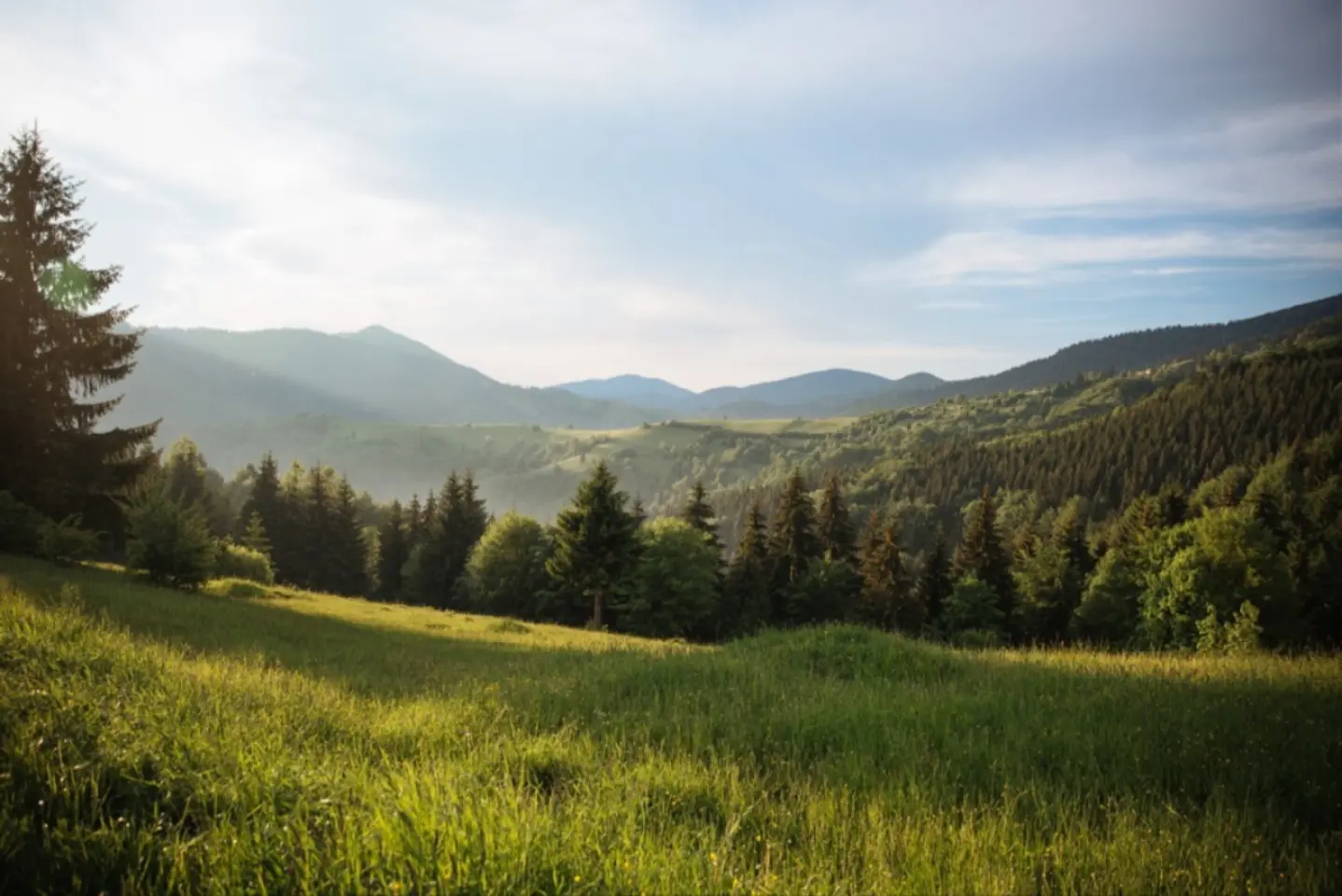 România: comemorarea masacrului de la Fântâna Albă, din Bucovina