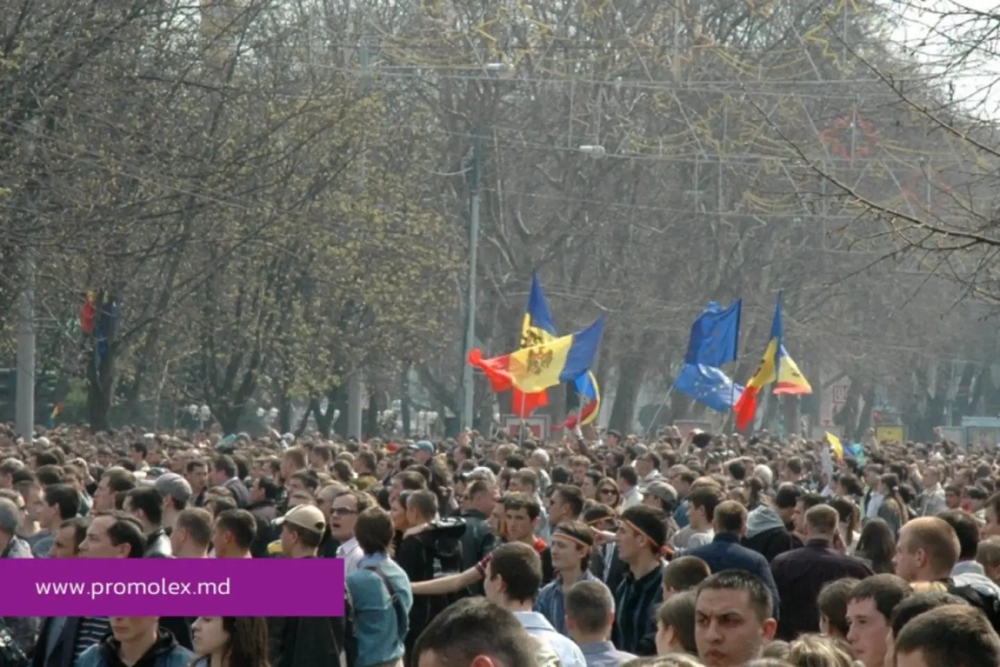 APEL public: 7 Aprilie 2009 – Justiția care închide ochii în fața adevărului este o justiție complice