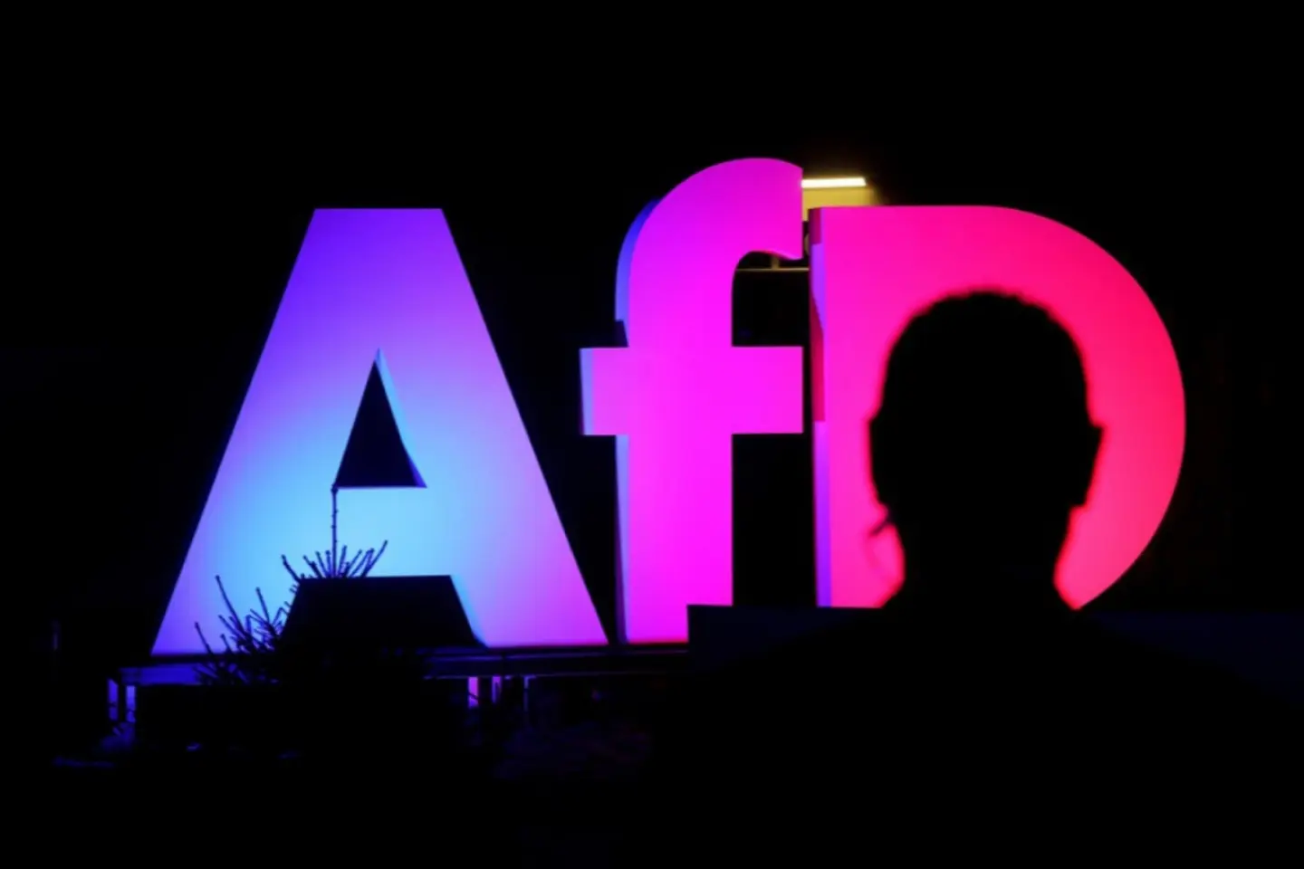 Serviciile secrete germane desemnează, oficial, AfD ca entitate extremistă de dreapta