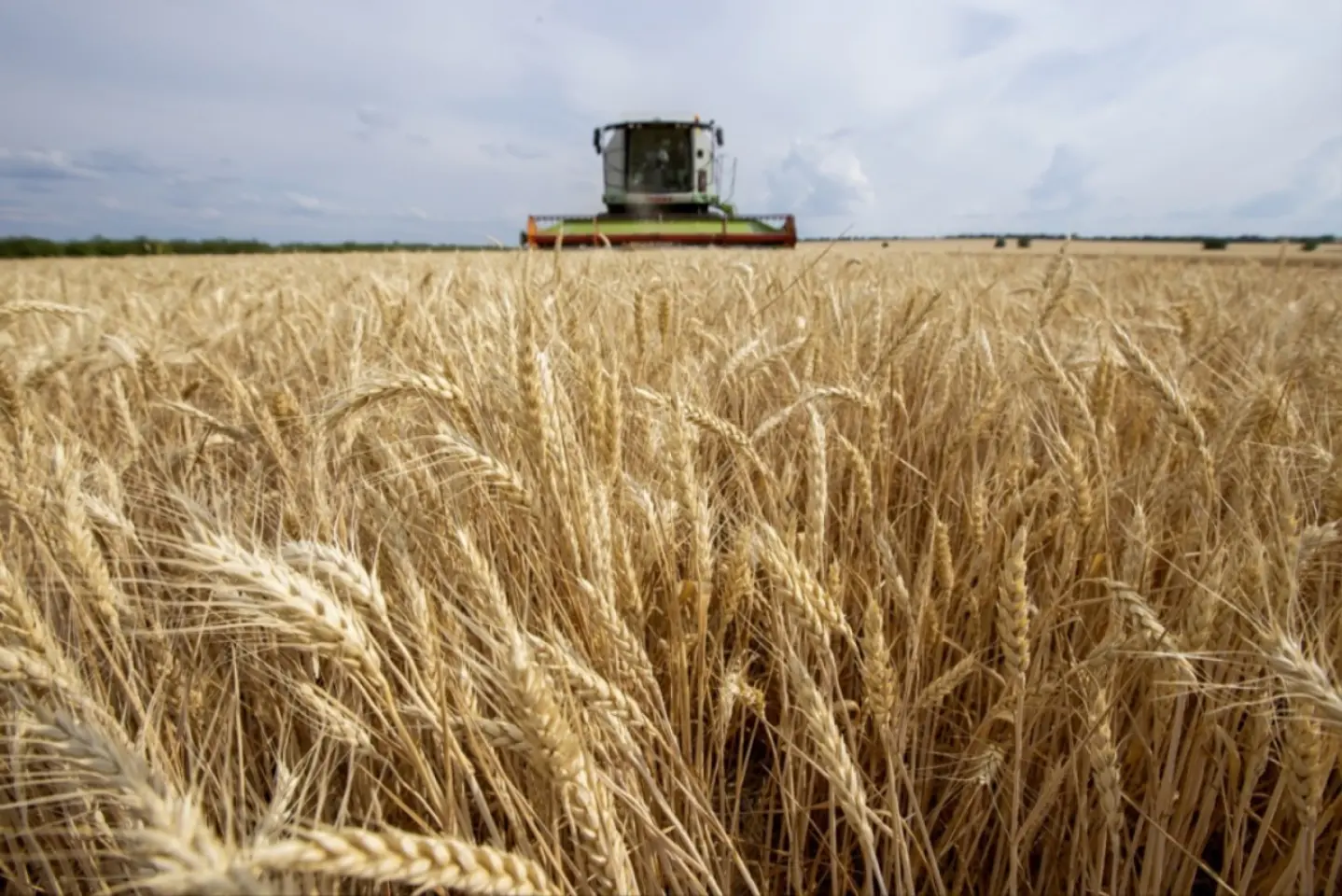 Uniunea Europeană anunță noi taxe vamale asupra produselor agricole şi îngrăşămintelor chimice importate din Rusia şi Belarus