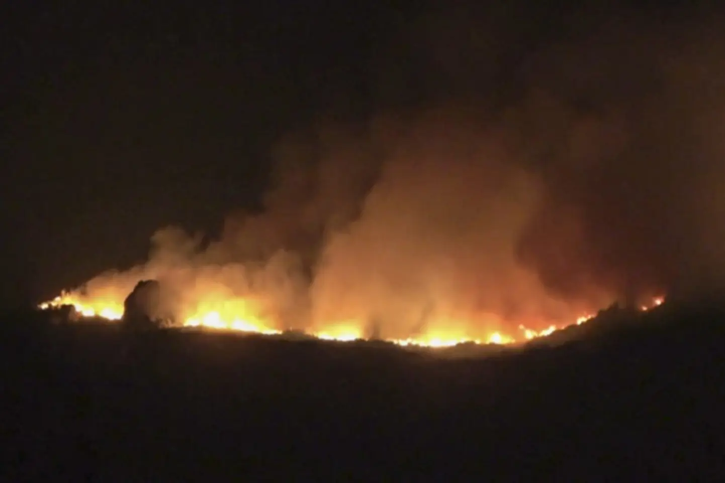 Pompierii români merg în Spania, pentru a ajuta la stingerea incendiilor de pădure