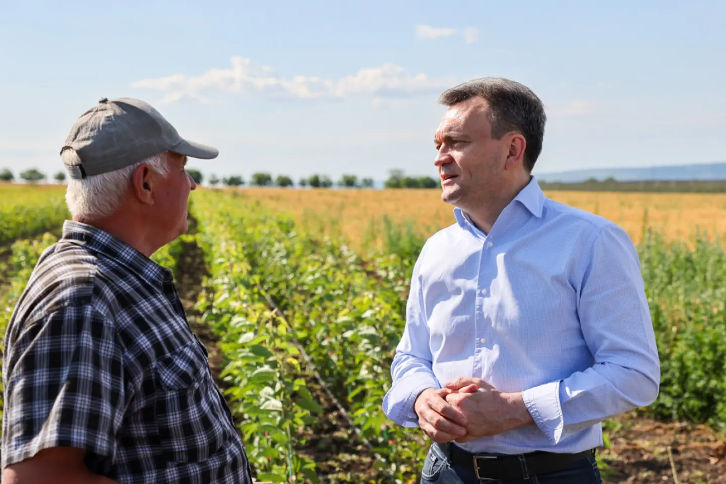 Guvernul R. Moldova alocă peste 100 de milioane de lei pentru sprijinirea fermierilor afectați de intemperii