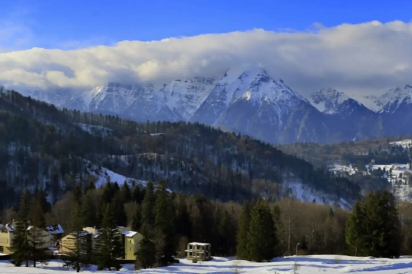 Ucrainean condamnat la 12 ani de închisoare în țara lui, prins la Brașov, în România