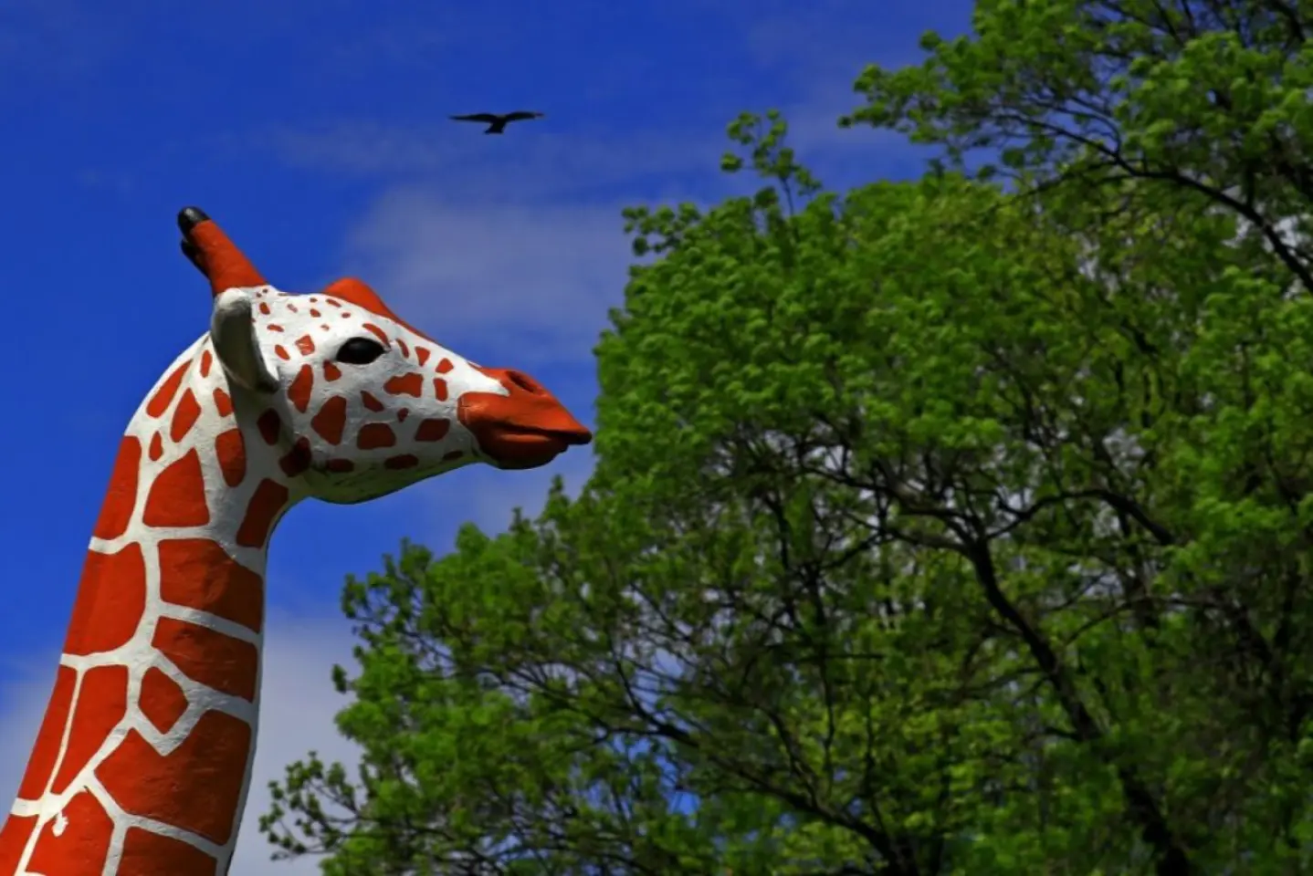 A fost inaugurat ghidul audio în limba ucraineană pentru exponatele Muzeului de Istorie Naturală „Grigore Antipa” din Bucureşti