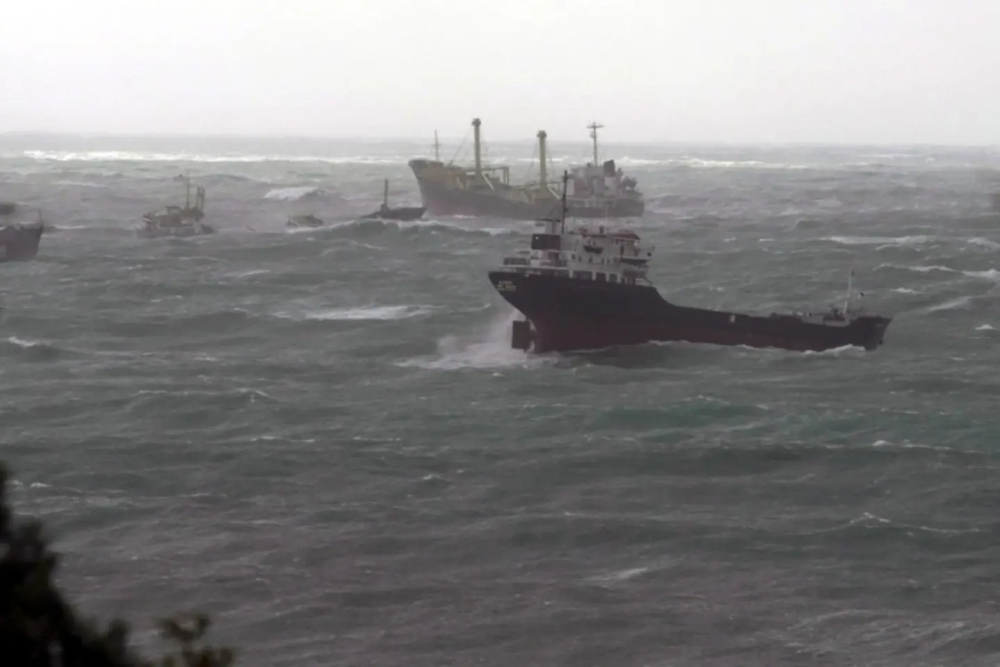 În portul rusesc Novorosiisk s-au reluat livrările de petrol