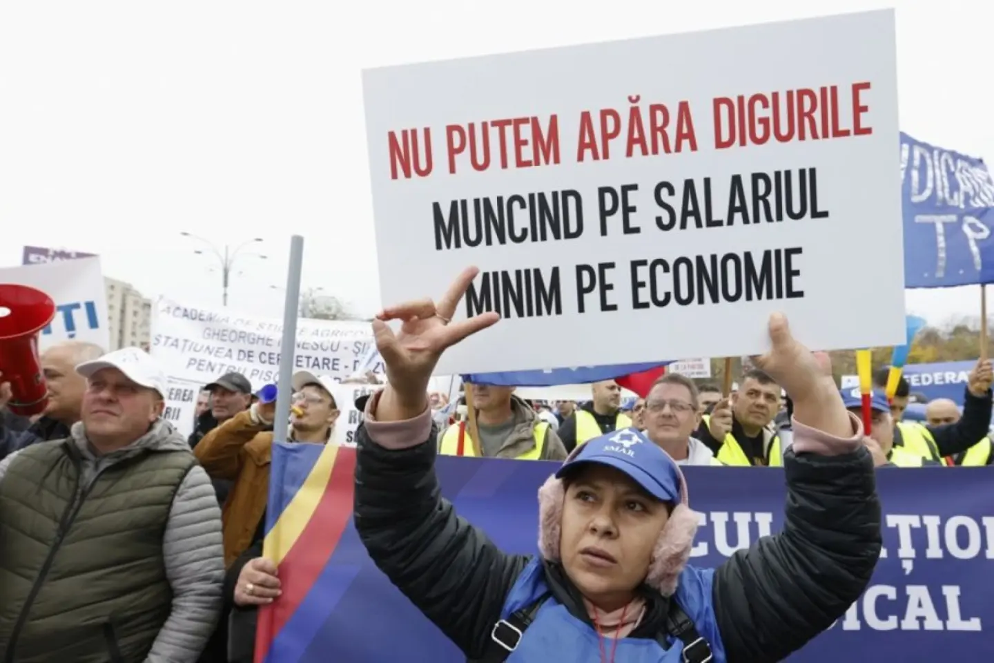 Senatul României: moţiune AUR contra ministrului USR de la Mediu, Diana Buzoianu 