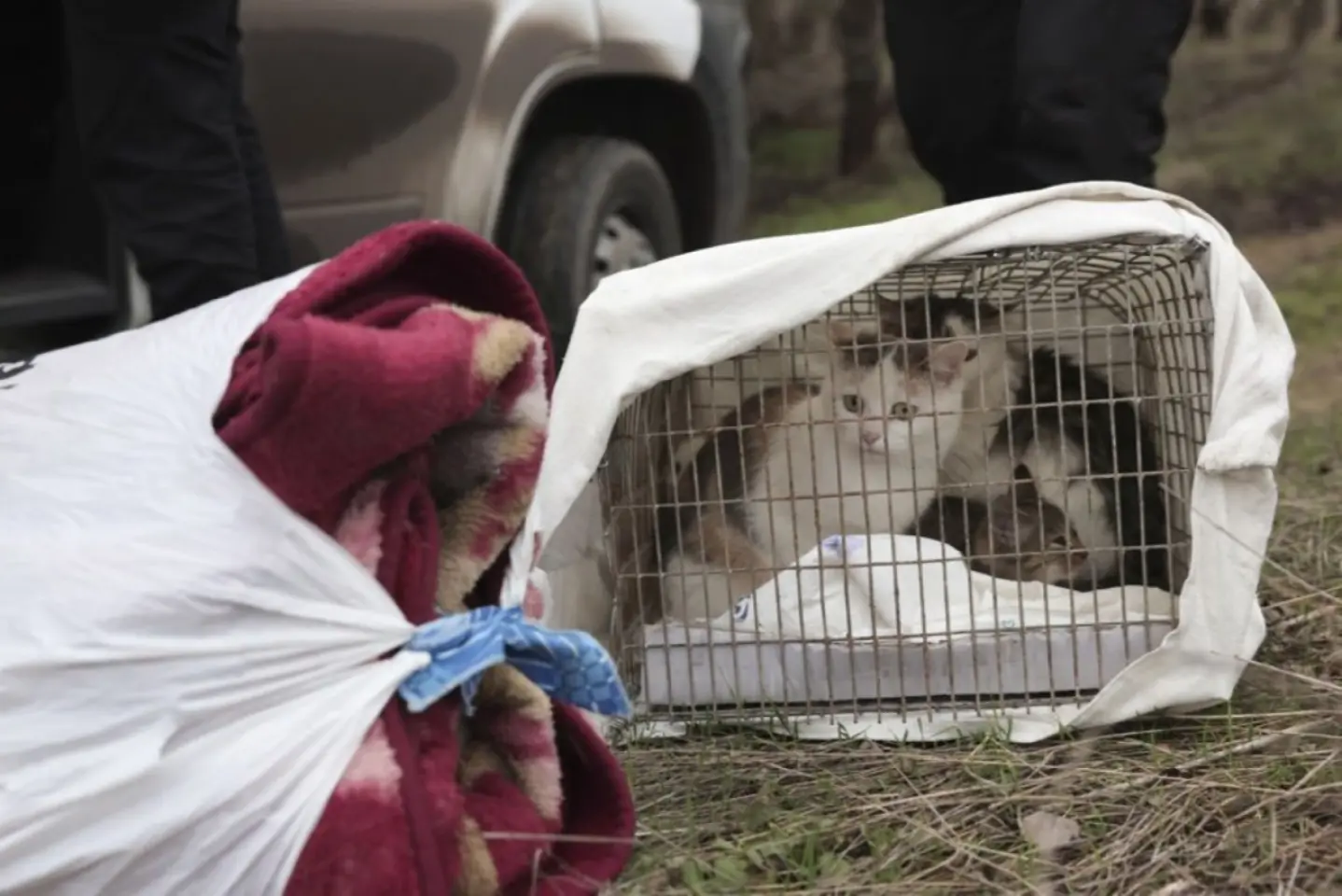 Armata rusă pretinde că avansează pe frontul din Ucraina