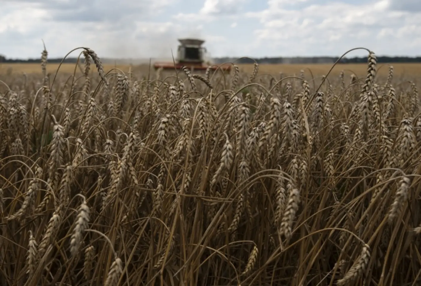 Temperaturi de până la minus 30 de grade Celsius vor lovi Ucraina la începutul săptămânii viitoare