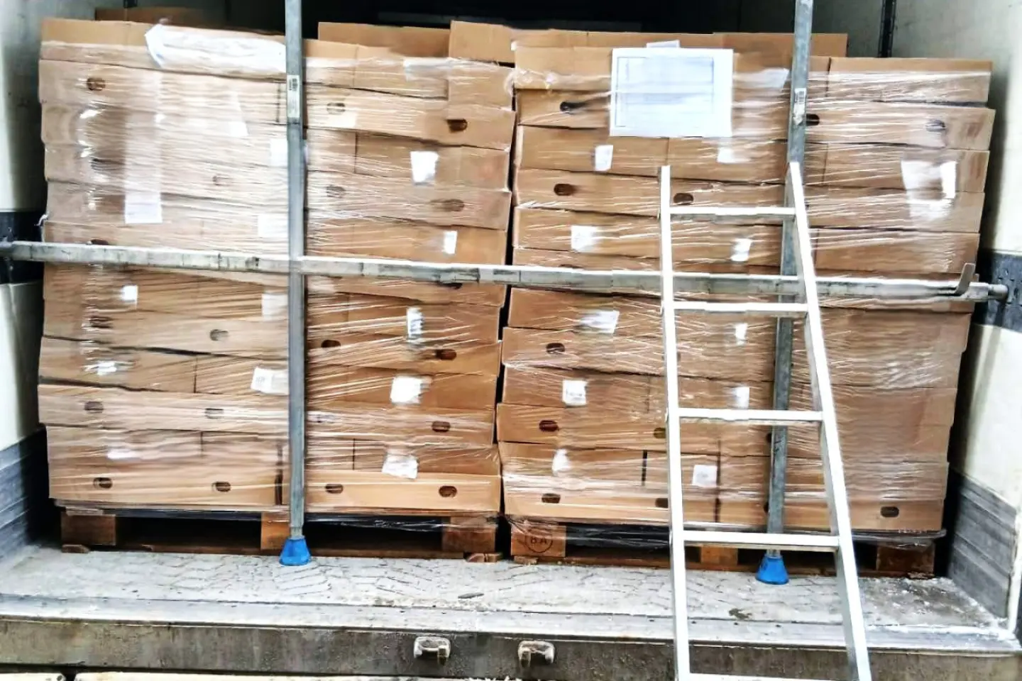 21.000 de kg de carne de pui contaminată cu salmonella, blocată la frontiera R. Moldova