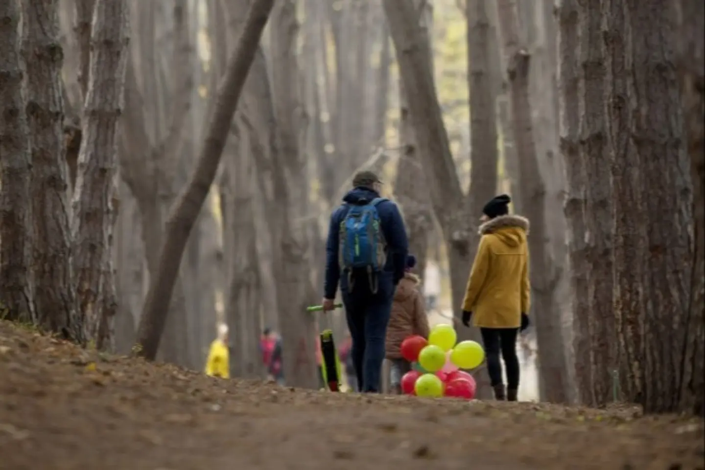 Anularea actului de identitate românesc nu duce la pierderea alocației copilului