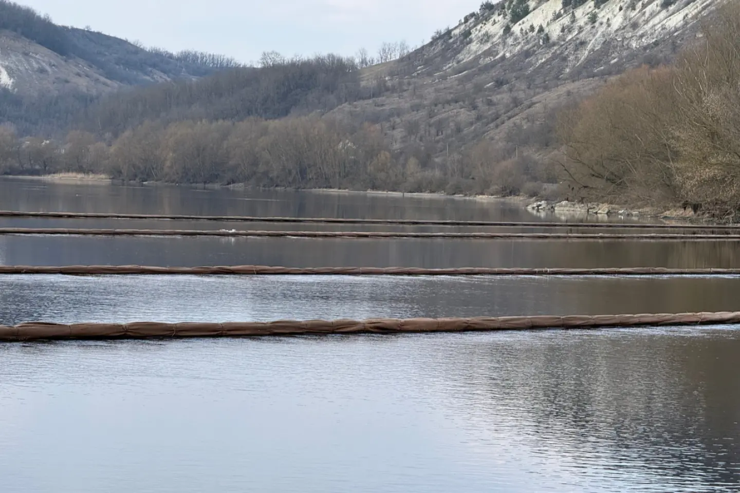 Situația ecologică pe Nistru se îmbunătățește după episod de poluare cu hidrocarburi