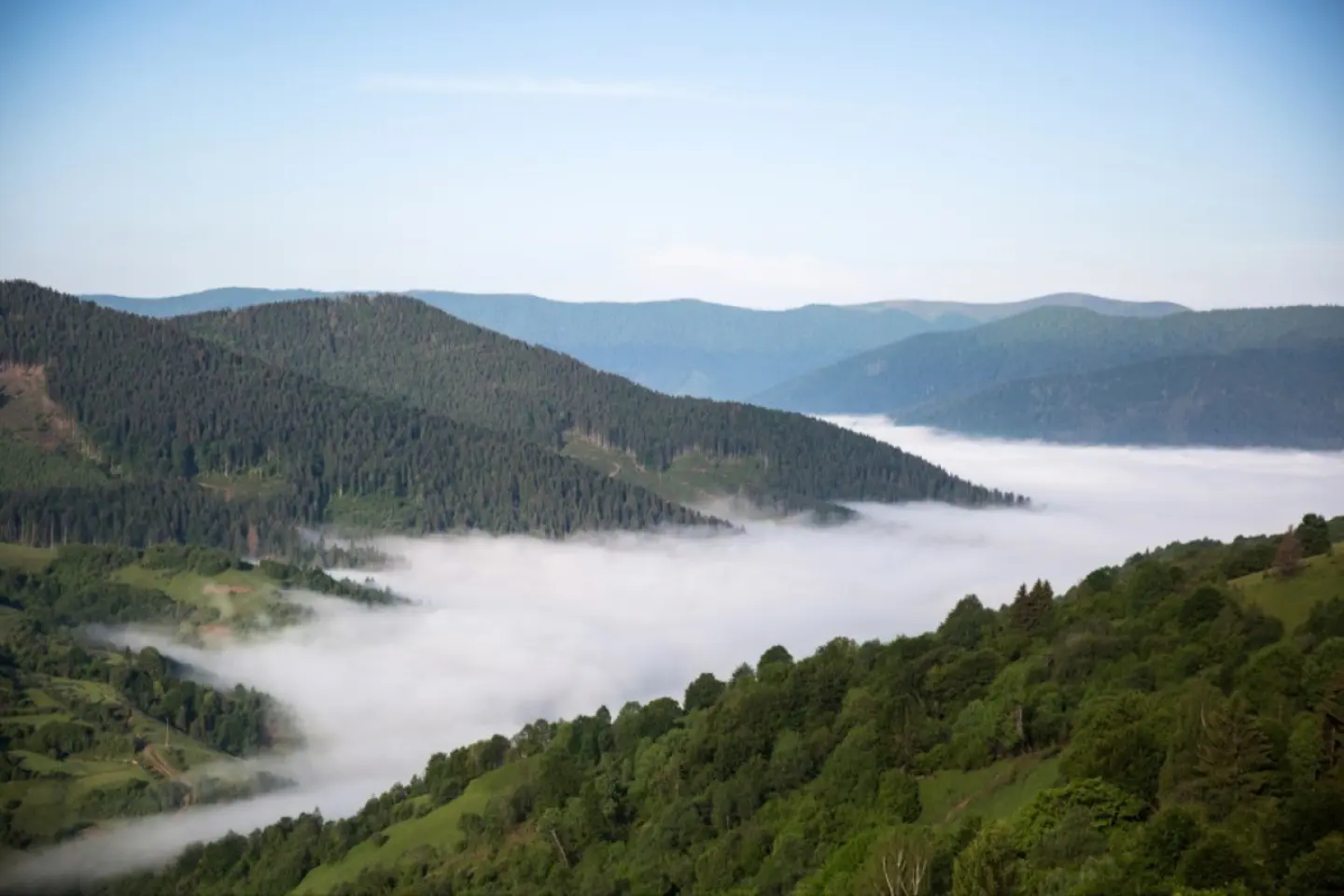 Cetățean ucrainean dependent de insulină care a trecut graniţa în România, ținut în viață de Serviciul Mobil de Urgență, Reanimare și Descarcerare 