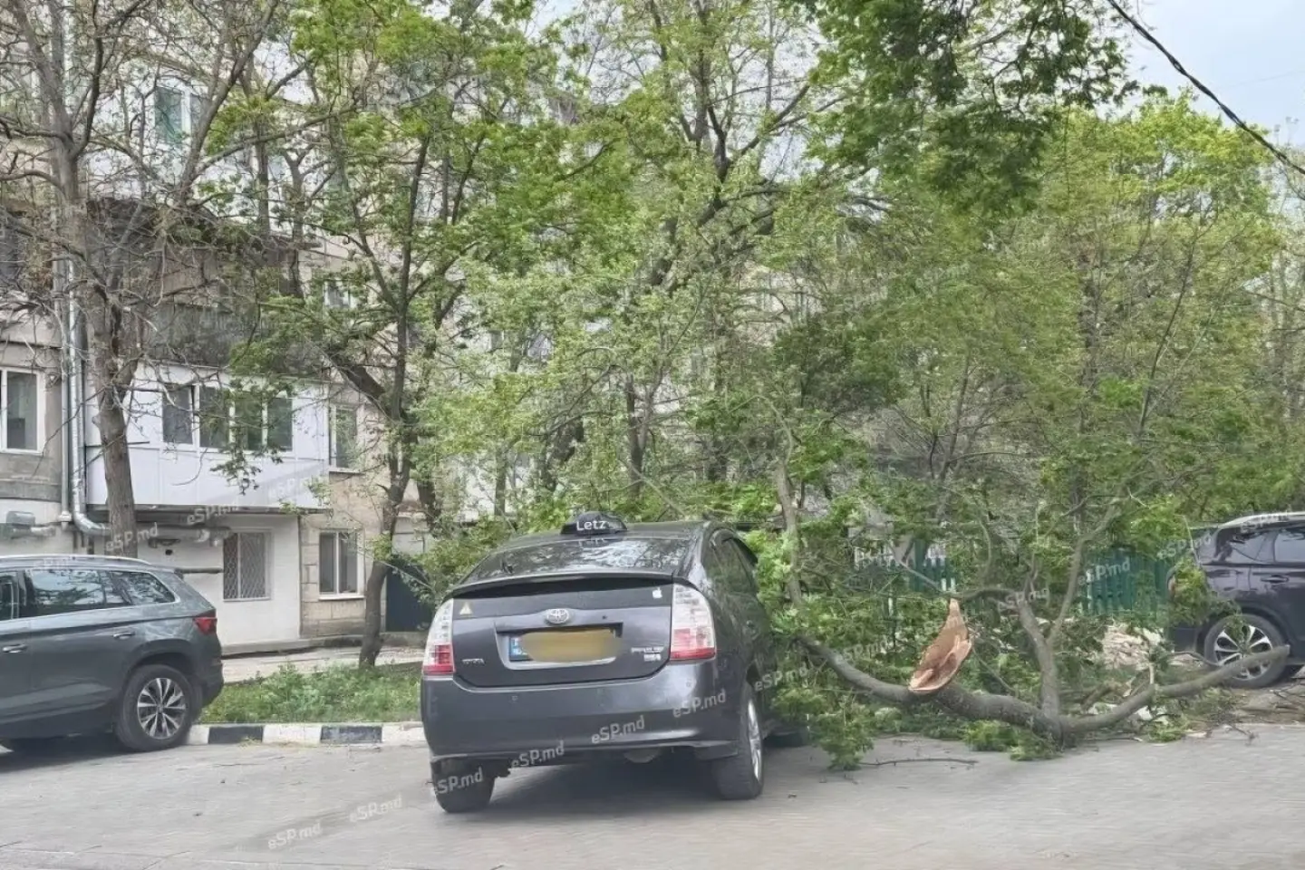 Vântul de ieri a provocat zeci de incidente și a rănit mai multe persoane