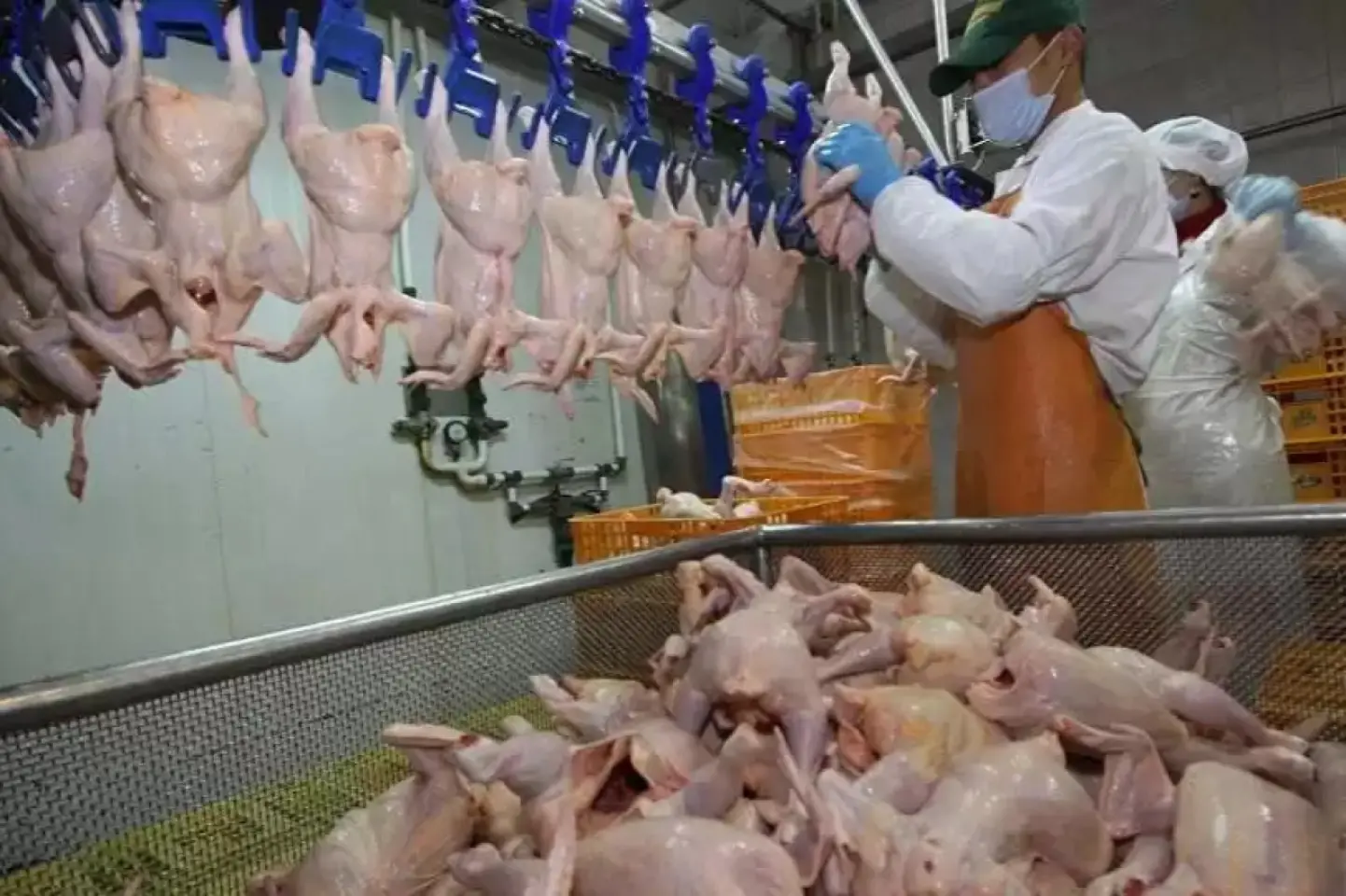 PROPAGANDĂ: Republica Moldova va fi invadată de produse ucrainene periculoase