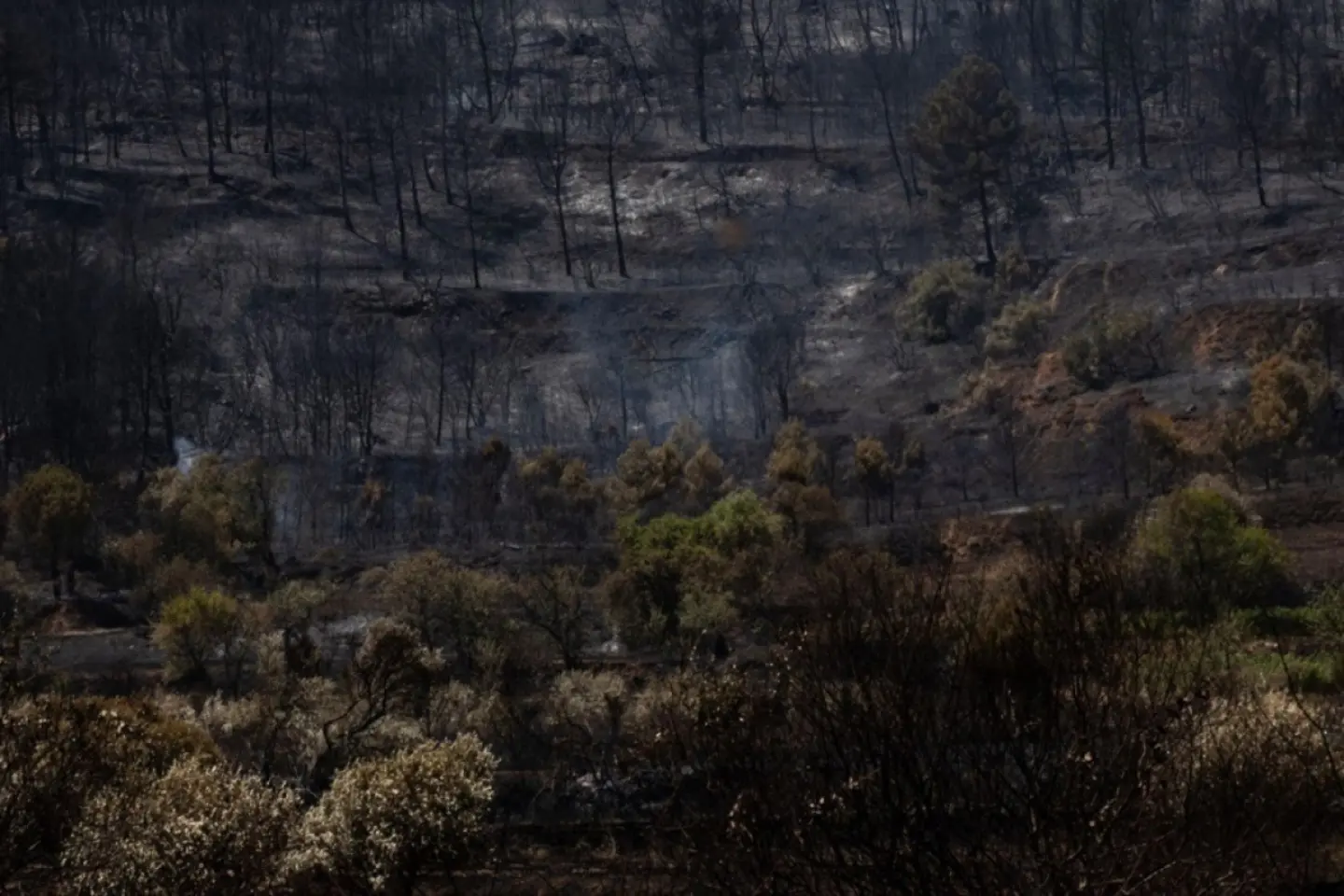 Cod roşu de incendii de vegetaţie în Franța
