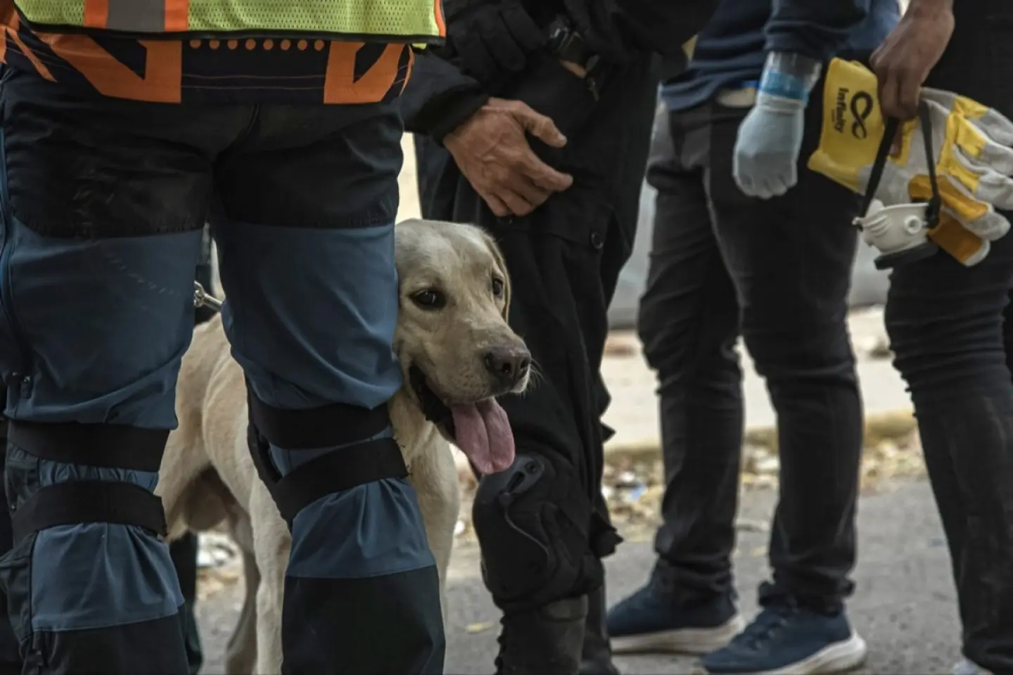 România acordă sprijin umanitar Venezuelei, afectată de cutremure