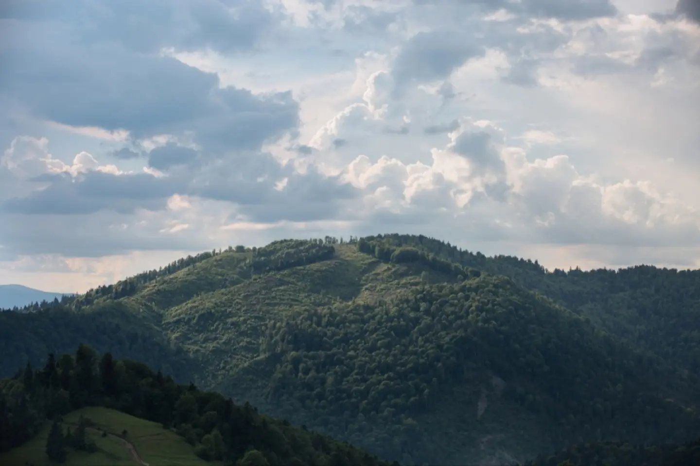Circa 2.500 de ucraineni au trecut ilegal graniţa în România prin zona montană în primele şase luni ale anului 2026