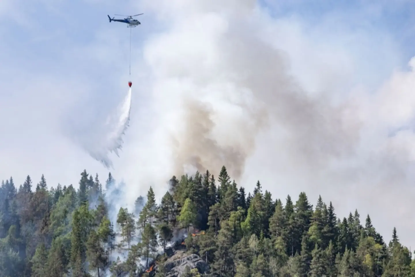 Incendii forestiere în sud-estul Norvegiei