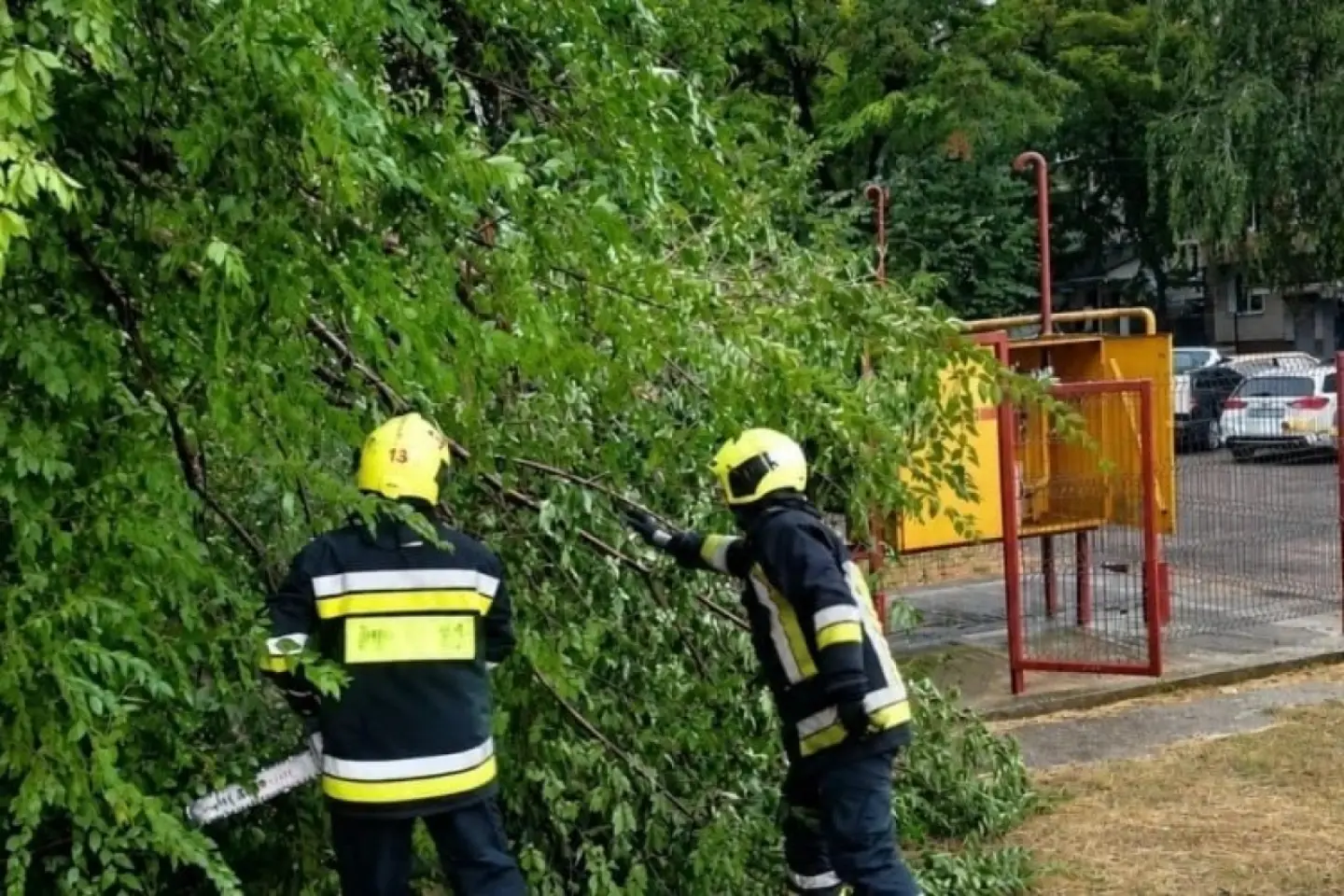 Ploile torențiale și vântul puternic au doborât mai mulți arbori și au inundat mai multe gospodării