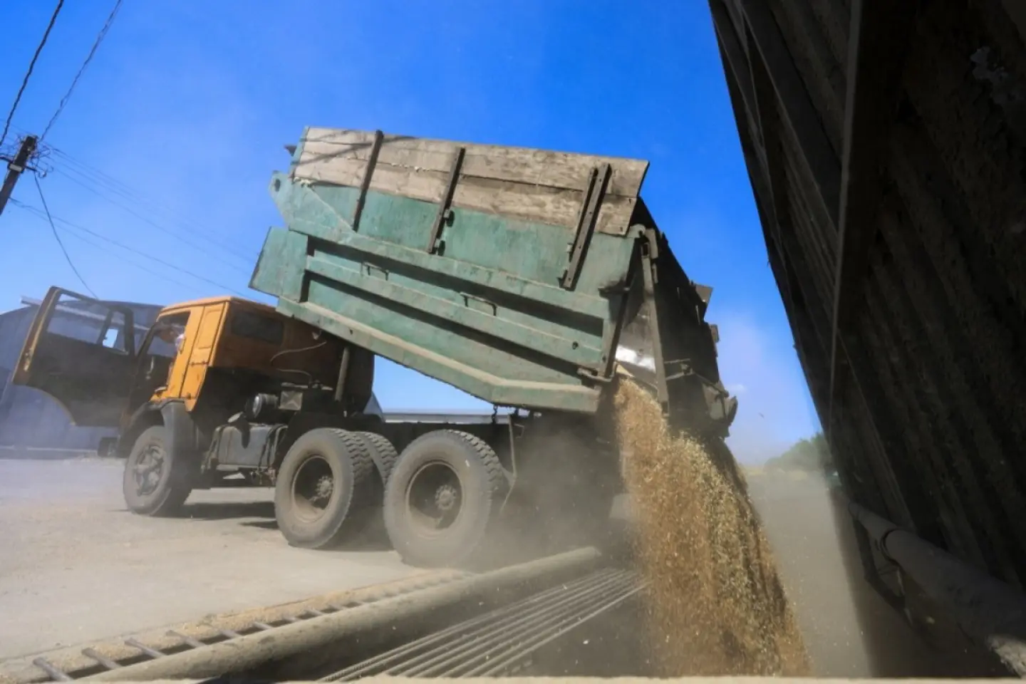 Alianţa pentru Agricultură şi Cooperare (AAC) din România solicită controlul riguros şi trasabilitatea completă a cerealelor ucrainene aflate în tranzit, precum şi măsuri concrete pentru protejarea intereselor economice ale țării