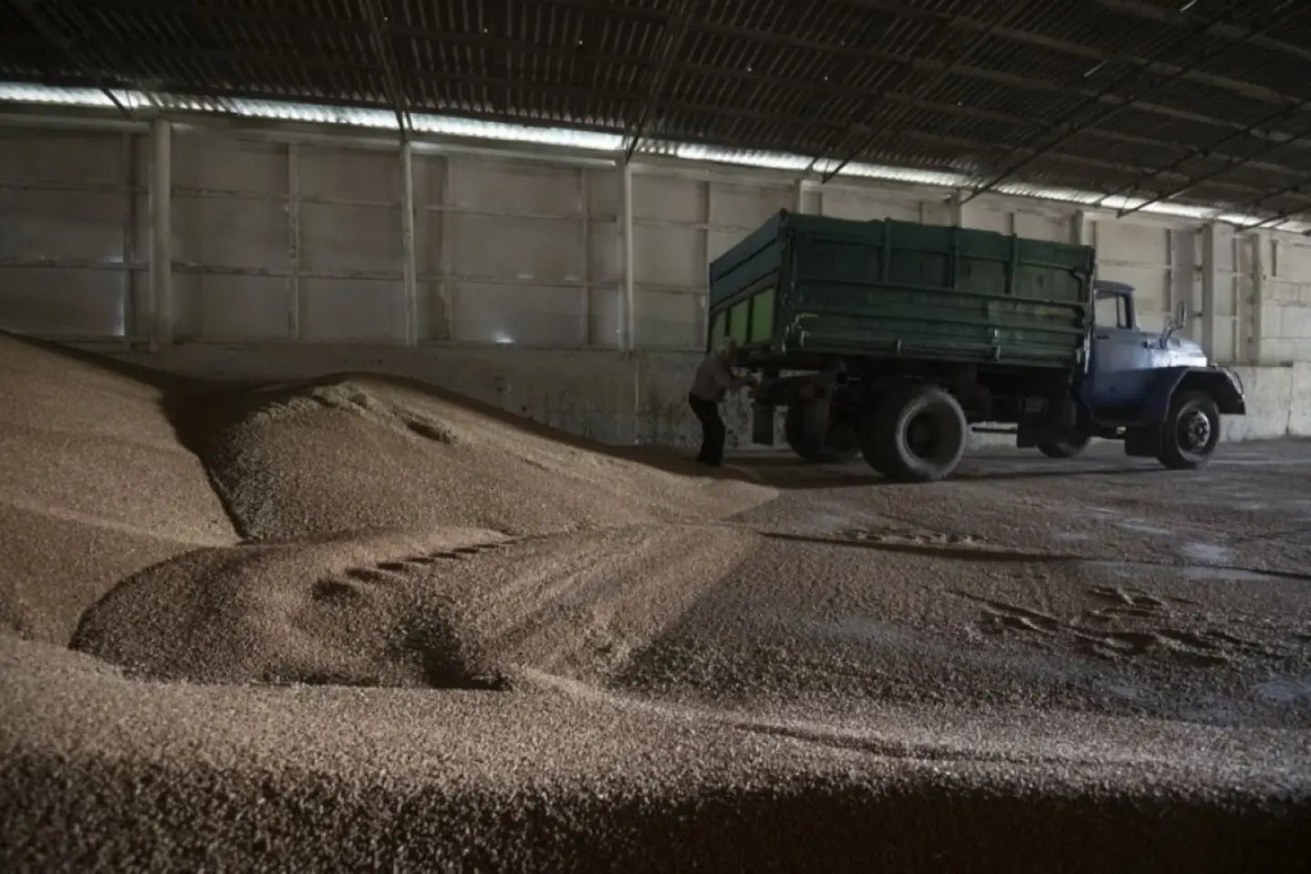 Liga Asociaţiilor Producătorilor Agricoli le solicită autorităţilor să urmărească în mod riguros traseul cerealelor ucrainene care tranzitează România