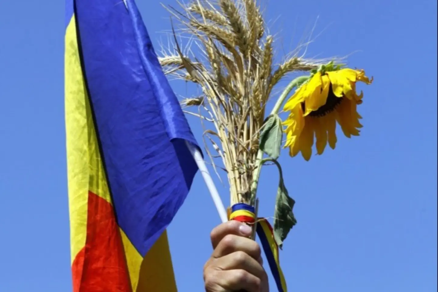 Președinții Românei și Ucrainei, așteptați la Chișinău de Ziua Independenței R. Moldova