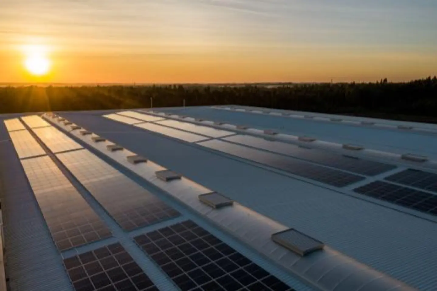 Guvernul simplifică autorizarea proiectelor de energie verde
