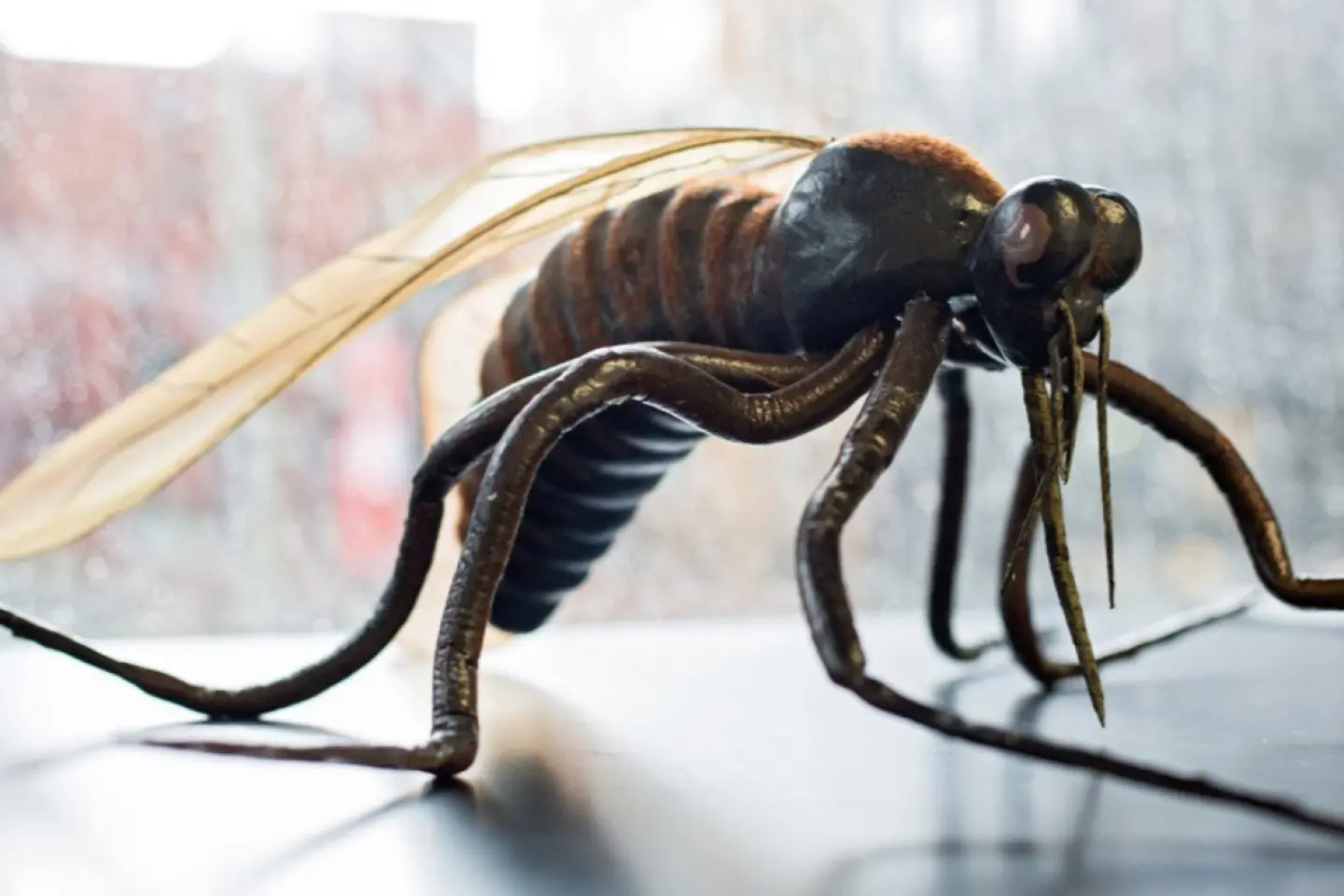 Două cazuri de West Nile, confirmate în R. Moldova