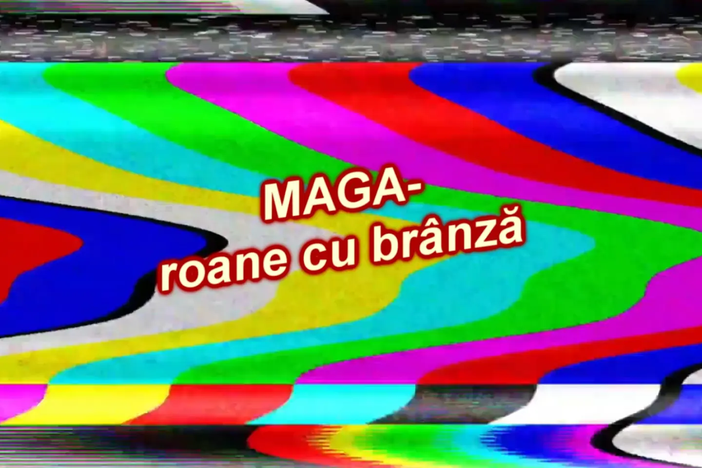 Cum n-o dai! -  MAGA-roane cu brânză (49)