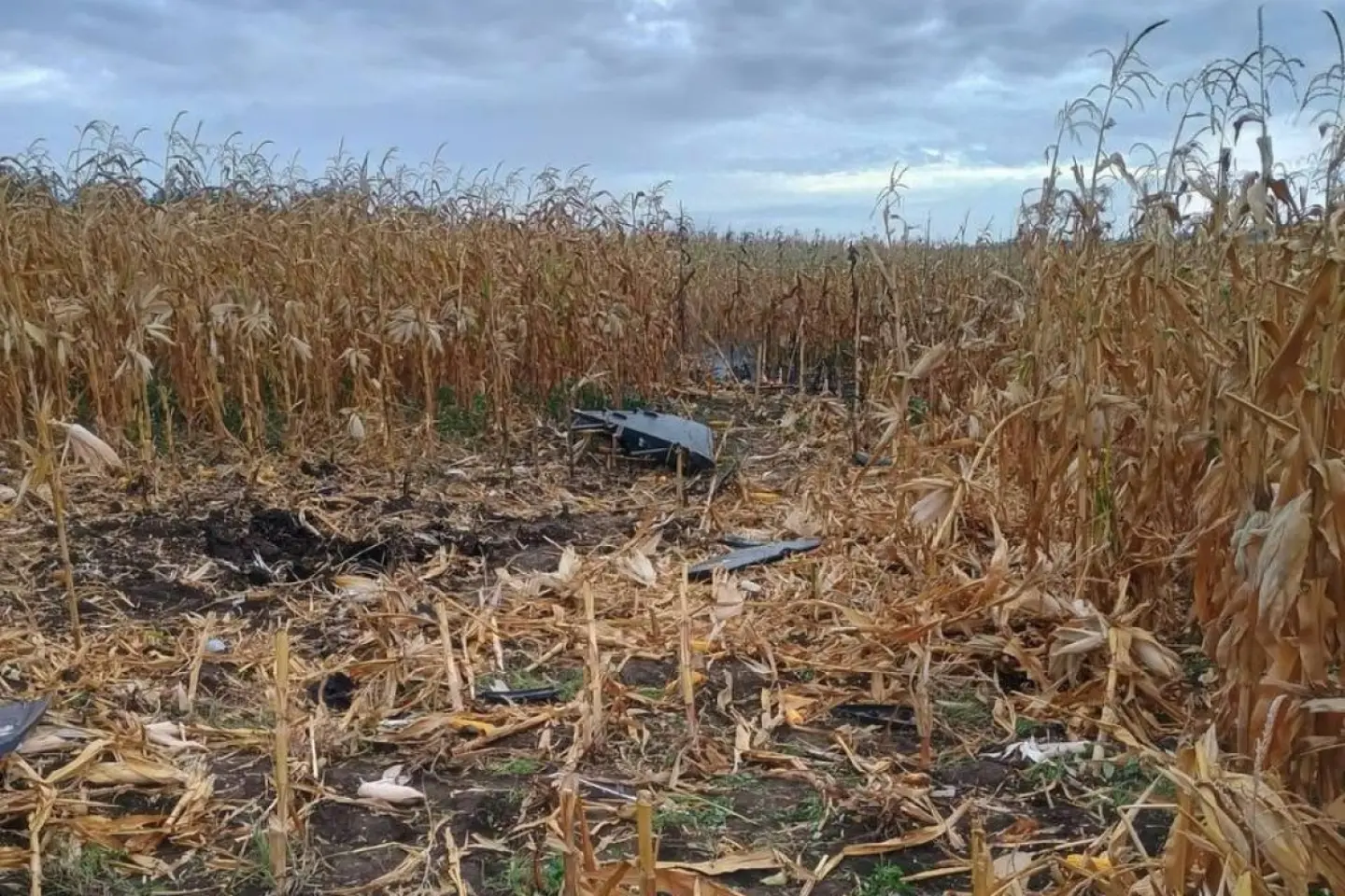 O dronă a căzut în preajma unei localități din raionul Florești 