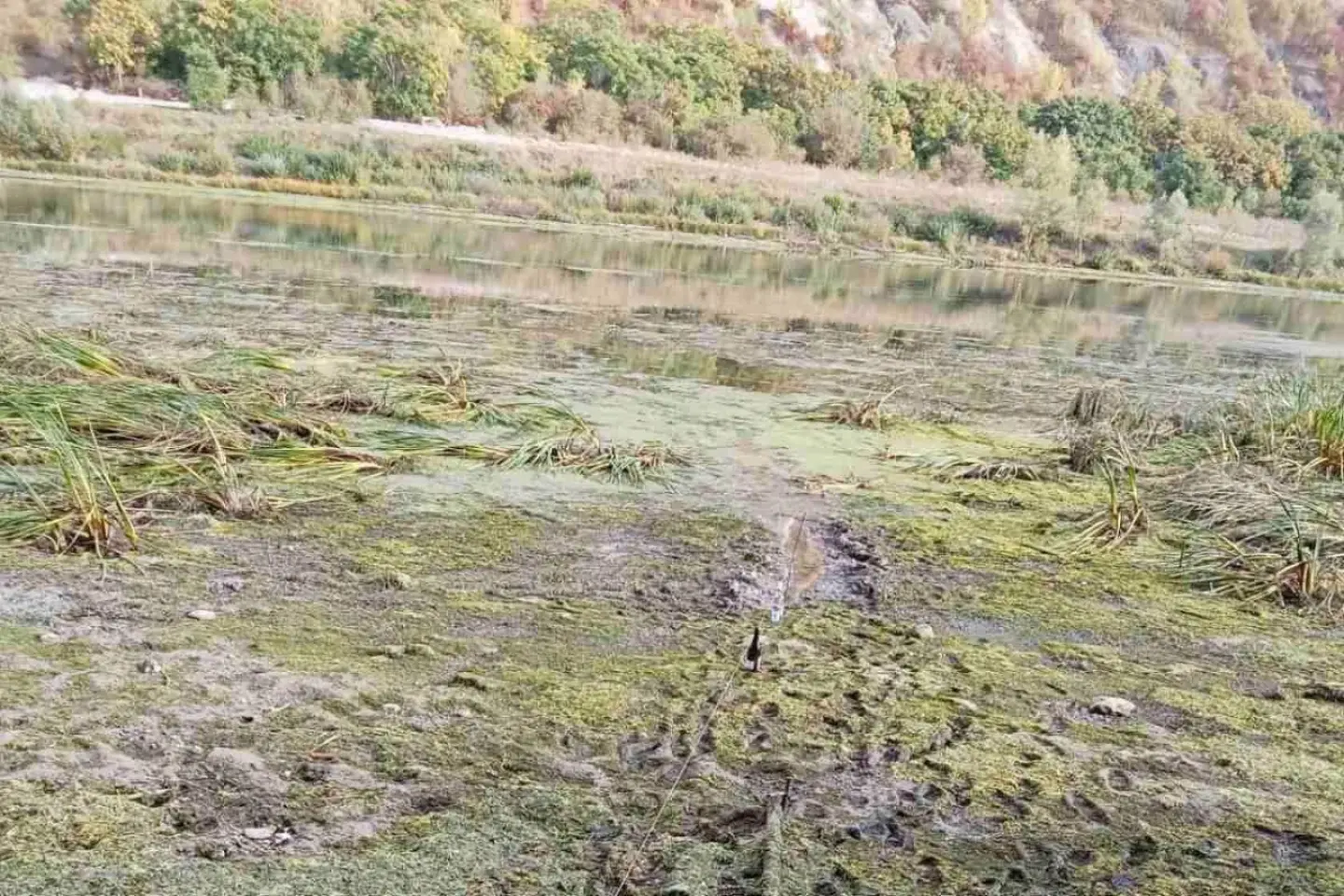 Nivelul apei în râul Nistru în nordul țării a scăzut considerabil