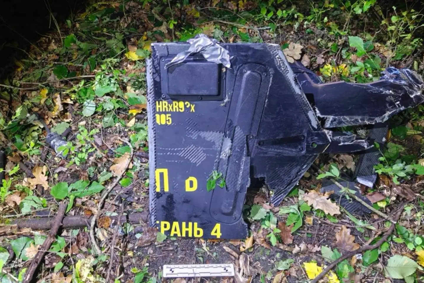 Ministra de Interne: Incidentele recente cu drone au afectat și zona noastră de frontieră
