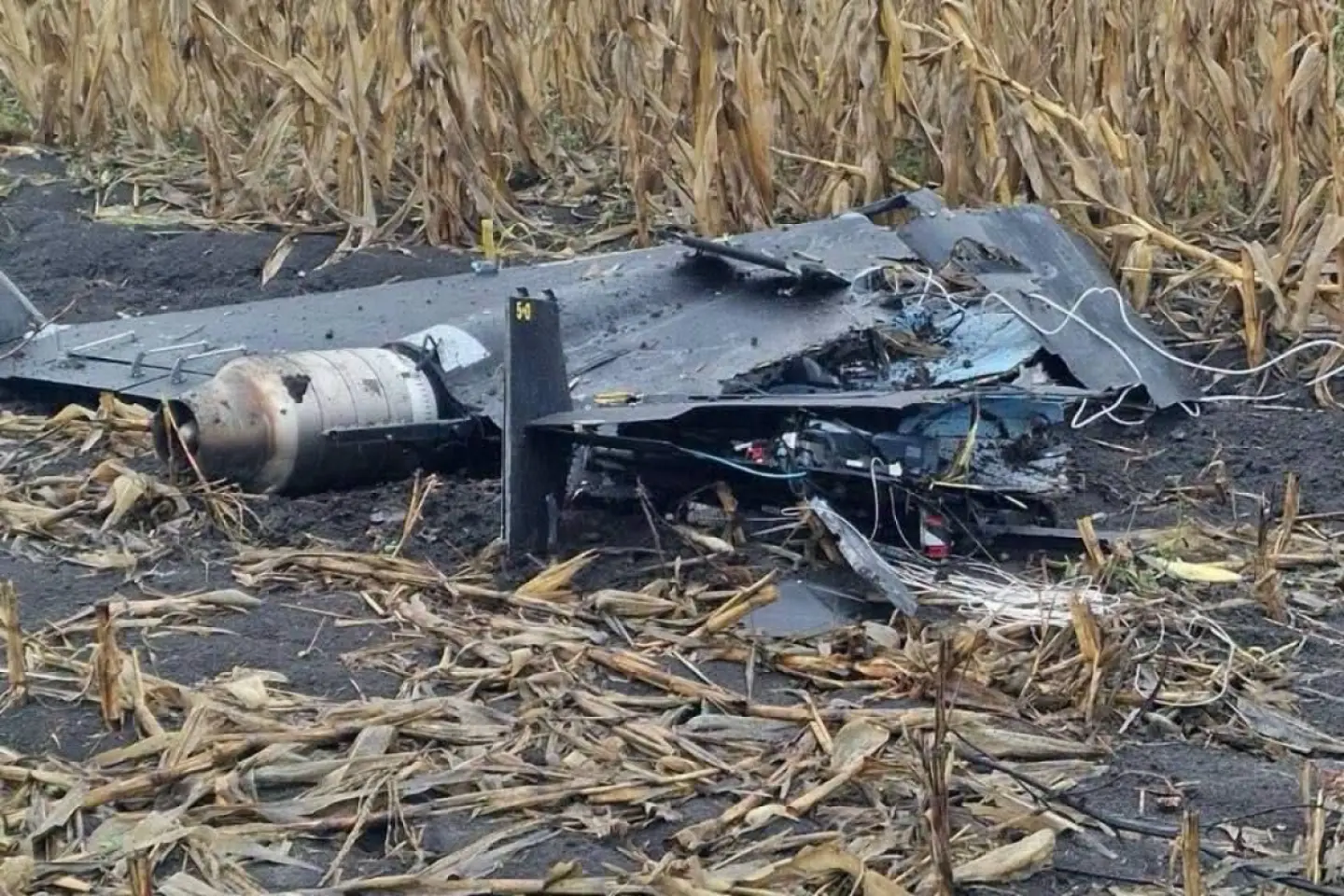 O dronă a căzut în satul Chiștelnița, la circa 100 de metri de o locuință